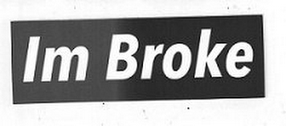 IM BROKE logo