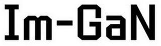 IM-GAN logo