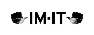 IM-IT logo