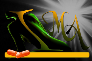 IMA logo
