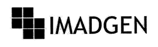 IMADGEN logo
