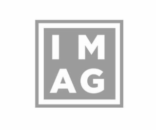 IMAG logo