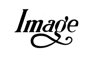 IMAGE logo