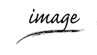 IMAGE logo