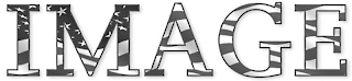 IMAGE logo
