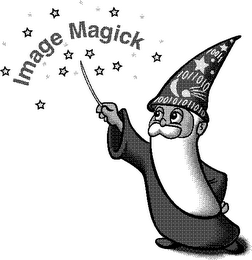 IMAGE MAGICK logo