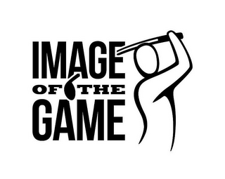 IMAGE OF THE GAME logo