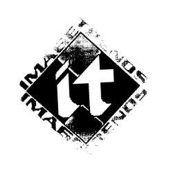 IMAGE TRENDS INC IMAGE TRENDS INCORPORATED logo