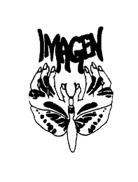 IMAGEN logo