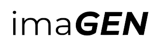 IMAGEN logo