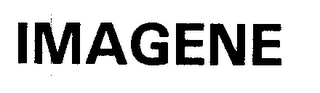 IMAGENE logo