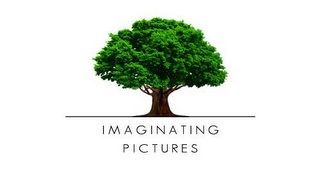 IMAGINATING PICTURES logo
