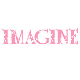 IMAGINE logo