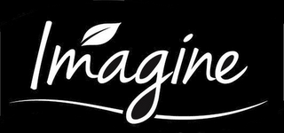IMAGINE logo