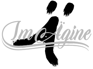IMAGINE logo