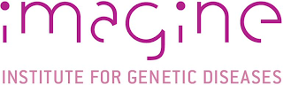 IMAGINE INSTITUTE FOR GENETIC DISEASES logo