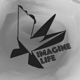 IMAGINE LIFE logo