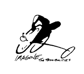 IMAGINE THE POSSIBILITIES logo