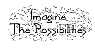IMAGINE THE POSSIBILITIES