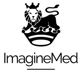 IMAGINEMED logo