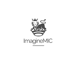 IMAGINEMIC logo