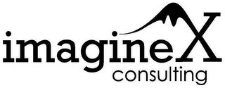 IMAGINEX CONSULTING logo