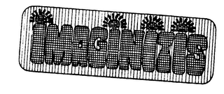 IMAGINITIS logo
