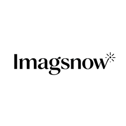 IMAGSNOW logo