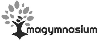 IMAGYMNASIUM logo