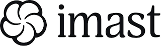 IMAST logo