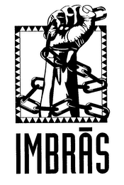 IMBRAS logo
