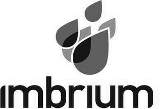 IMBRIUM logo