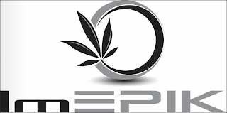 IMEPIK logo
