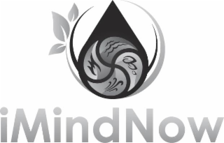 IMINDNOW logo