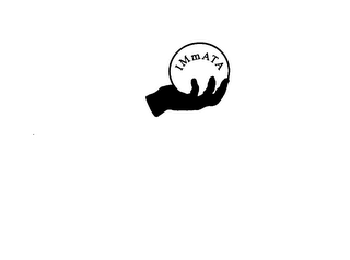 IMMATA logo