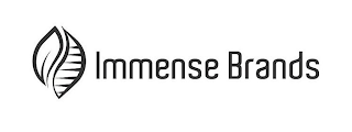 IMMENSE BRANDS logo
