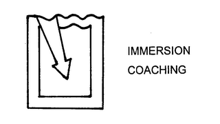 IMMERSION COACHING logo