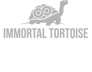 IMMORTAL TORTOISE logo