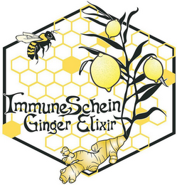 IMMUNESCHEIN GINGER ELIXIR logo