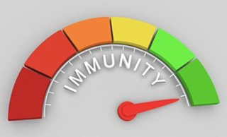 IMMUNITY logo