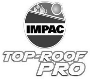 IMPAC TOP-ROOF PRO logo