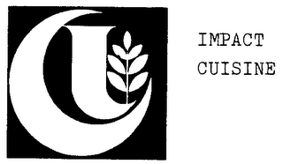 IMPACT CUISINE logo