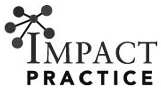 IMPACT PRACTICE logo