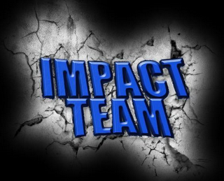 IMPACT TEAM logo