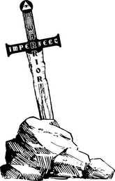 IMPERFECT WARRIOR logo
