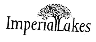 IMPERIALAKES logo