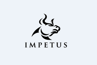 IMPETUS logo