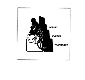 IMPORT EXPORT TRANSPORT logo