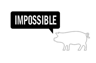 IMPOSSIBLE logo