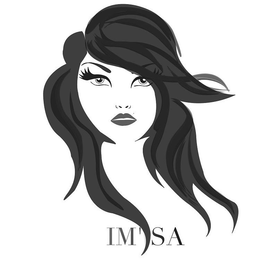 IM'SA logo